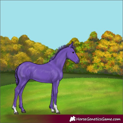 Horse Color:Watercolor Black Tobiano