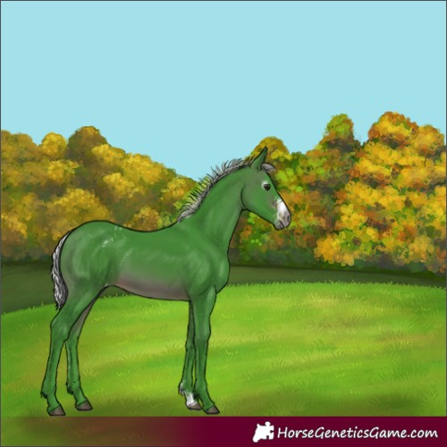 Horse Color:Gray Watercolor Silver Brown Sabino Blanket
