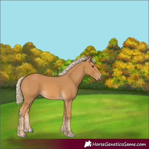 Horse Color:Palomino 