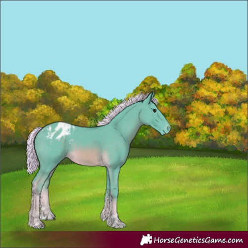 Horse Color:Watercolor Chocolate Palomino Appaloosa 