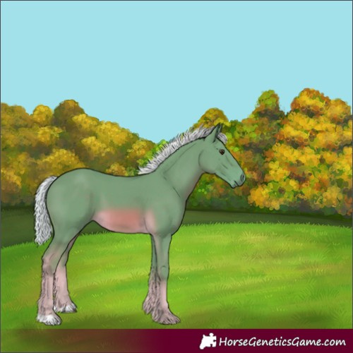 Horse Color:Watercolor Chocolate Palomino