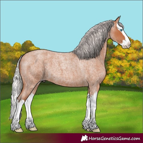 Horse Color:Silver Bay Roan Splash 