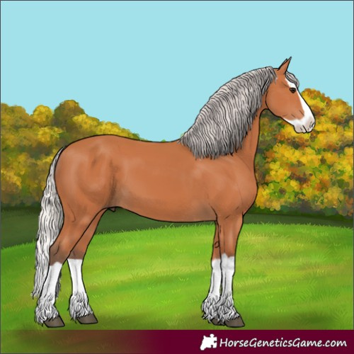 Horse Color:Silver Bay Splash 