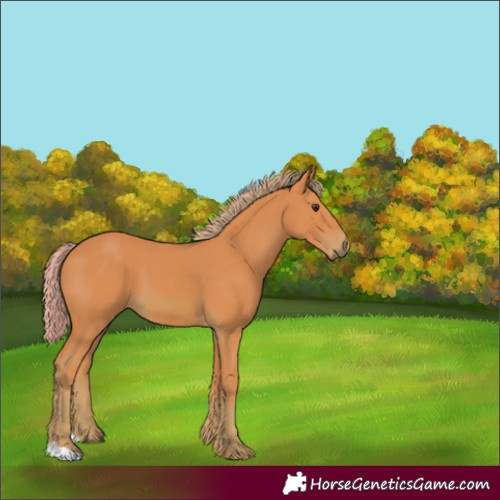 Horse Color:Watercolor Chestnut 