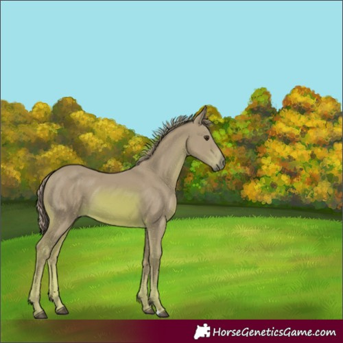 Horse Color:Watercolor Chestnut