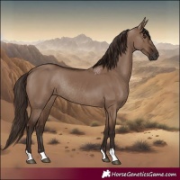 Horse Color:Liver Red Dun Rabicano 