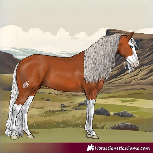 Horse Color:Silver Bay Splash 