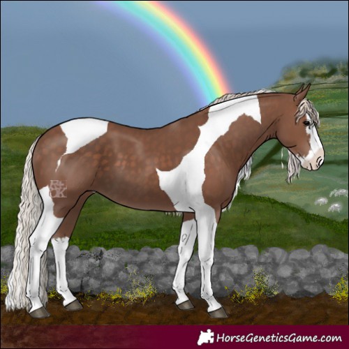Horse Color:Silver Black Splash Tobiano 