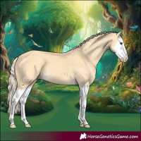 Horse Color:Palomino Dun Splash 