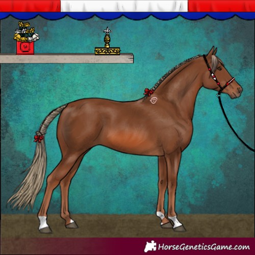 Horse Color:Chestnut 