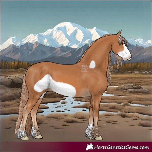 Horse Color:Chestnut Frame 