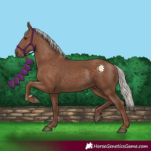 Horse Color:Silver Black 