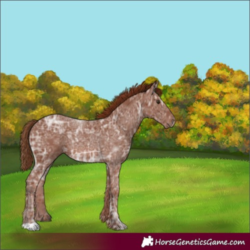Horse Color:Chestnut Ice