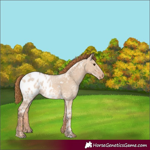 Horse Color:Red Dun Ice Blanket 