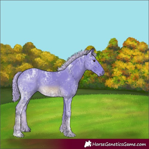 Horse Color:Watercolor Chocolate Palomino Ice