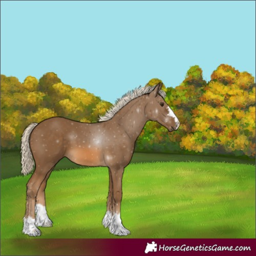 Horse Color:Chocolate Palomino