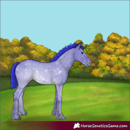 Horse Color:Watercolor Liver Red Dun Appaloosa