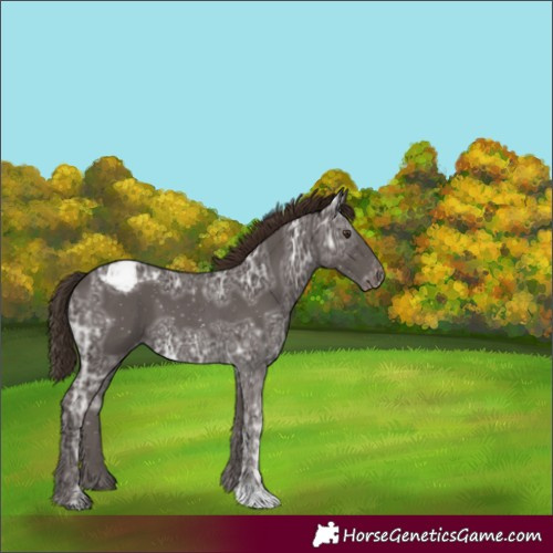 Horse Color:Liver Chestnut Ice Varnish