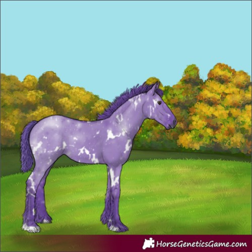 Horse Color:Gray Watercolor White Spotted Red Dun 