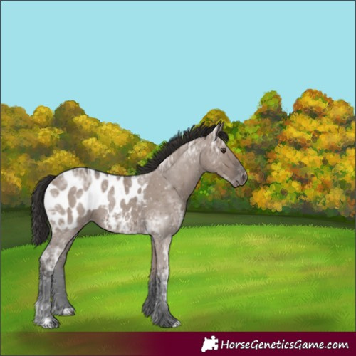 Horse Color:Liver Red Dun Ice Blanket 