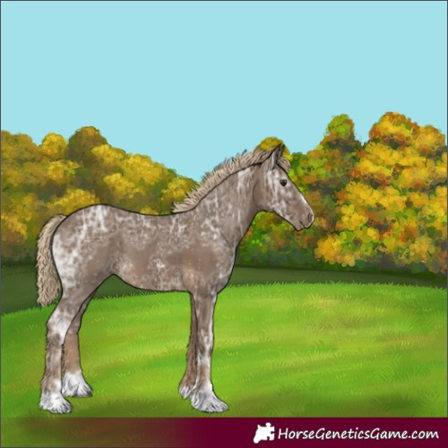 Horse Color:Chocolate Palomino Ice Varnish