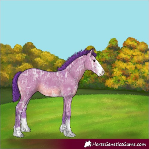 Horse Color:Watercolor Grullo Ice Sabino Rabicano