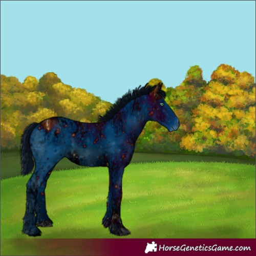 Horse Color:ERROR: UNKNOWN ANOMALY