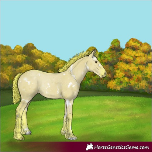 Horse Color:Watercolor White Spotted Liver Red Dun
