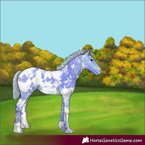 Horse Color:Watercolor White Spotted Silver Brown Ice Blanket