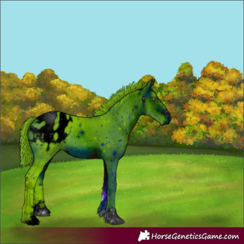 Horse Color:ERROR: UNKNOWN ANOMALY