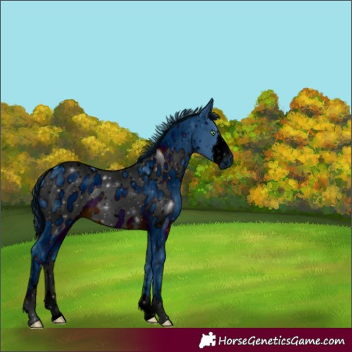Horse Color:ERROR: UNKNOWN ANOMALY