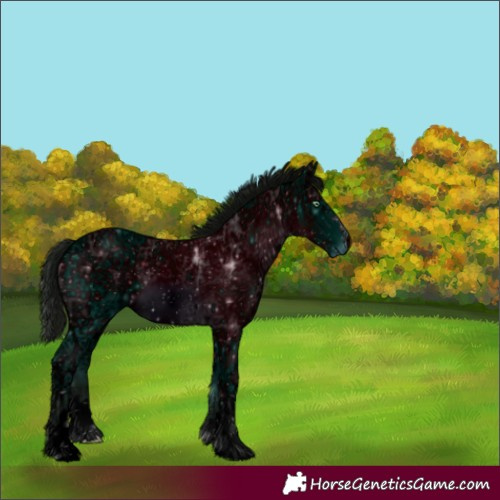 Horse Color:ERROR: UNKNOWN ANOMALY
