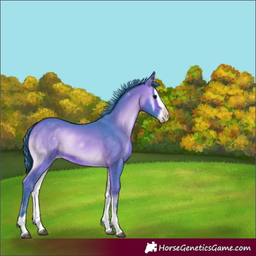 Horse Color:Watercolor Bay Onyx Splash Varnish 