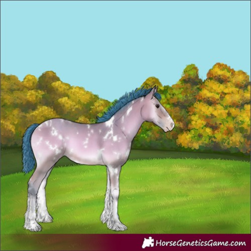 Horse Color:Watercolor White Spotted Amber Champagne Onyx