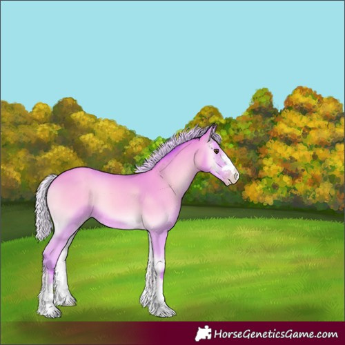 Horse Color:Watercolor Silver Amber Champagne Onyx
