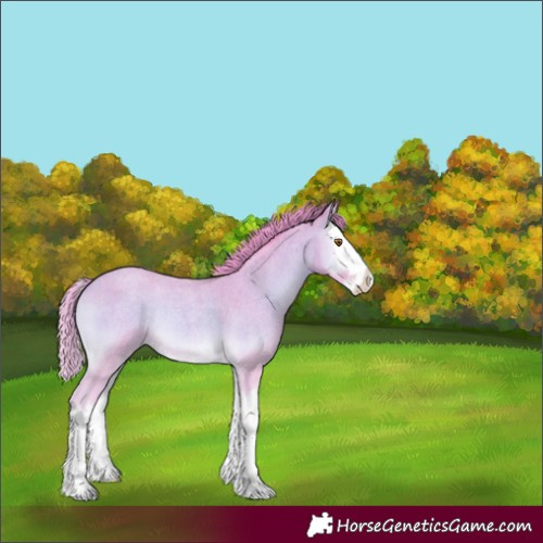 Horse Color:Watercolor Sable Cream Champagne Roan Onyx Splash