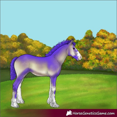 Horse Color:Watercolor Brown Onyx 
