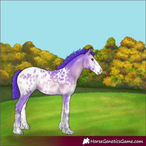 Horse Color:Watercolor Sable Champagne Onyx Sabino Blanket Rabicano