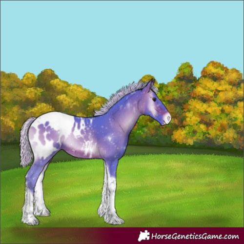 Horse Color:Watercolor Silver Brown Onyx Tobiano Blanket
