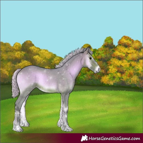 Horse Color:Watercolor Silver Brown Onyx Rabicano 