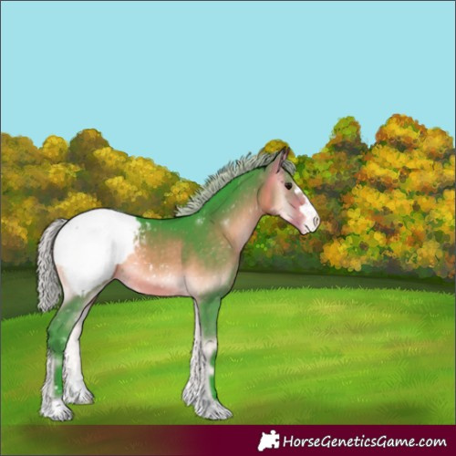 Horse Color:Watercolor Silver Buckskin Onyx Snowcap