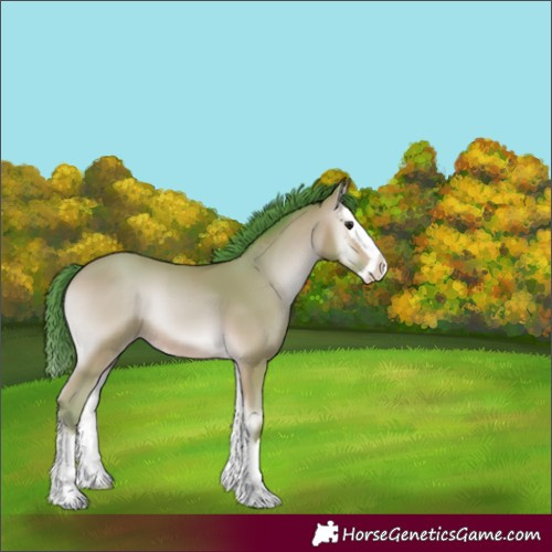 Horse Color:Watercolor Amber Champagne Onyx Splash 