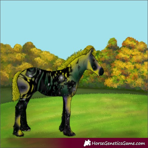 Horse Color:ERROR: UNKNOWN ANOMALY