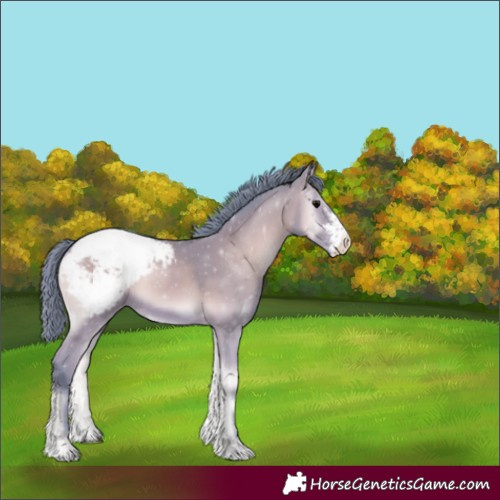 Horse Color:Watercolor Brown Onyx Sabino Snowcap