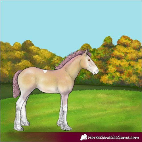 Horse Color:Watercolor Sable Cream Champagne Onyx Tobiano Appaloosa Rabicano