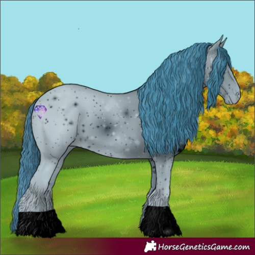 Horse Color:ERROR: UNKNOWN ANOMALY