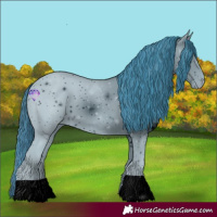 Horse Color:ERROR: UNKNOWN ANOMALY