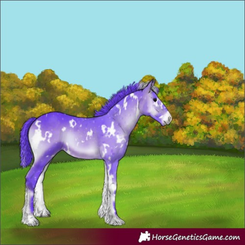 Horse Color:Watercolor White Spotted Brown Onyx 