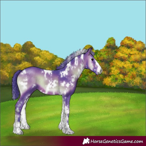 Horse Color:Gray Watercolor White Spotted Brown Onyx Varnish 