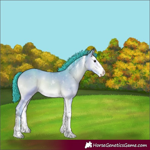 Horse Color:Watercolor Sable Champagne Onyx Sabino Varnish Rabicano 